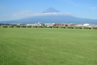 富士川緑地公園